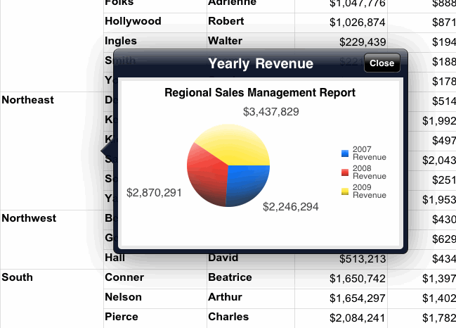 Example of an Information Window displayed in an iPad document
